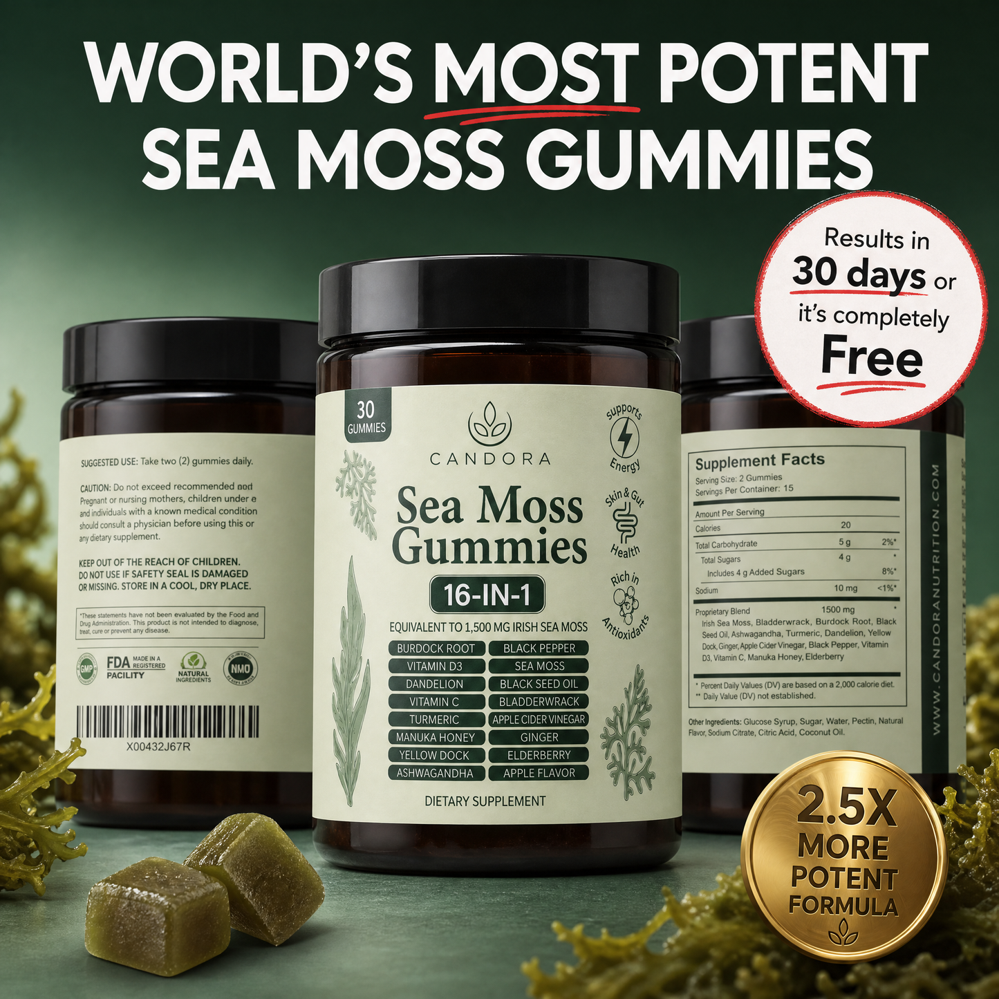 Sea Moss 16-In-1 Gummies